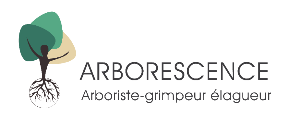 arborescence-logo-1